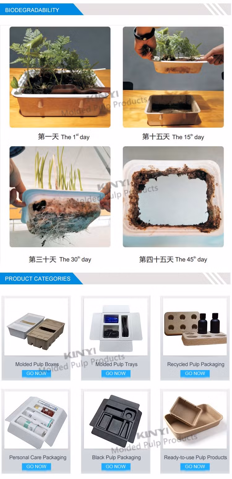 Biodegradable Recyle Paper Pulp Molded Packaging Case