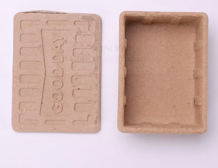 Biodegradable Recyle Paper Pulp Molded Packaging Case