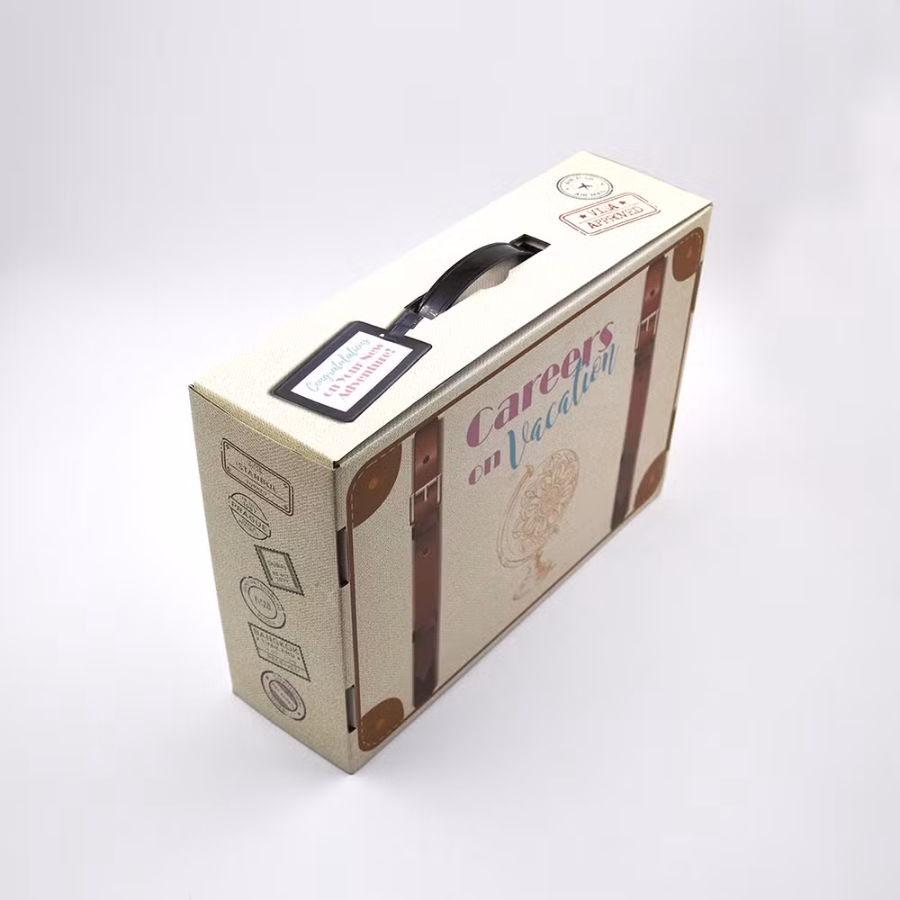 Custom Logo Corrugated Courier Shipping Boxes Delivery Mailer Box with Easy Lock Easy Carry Plastic Handle